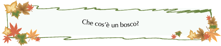 Bosco.png