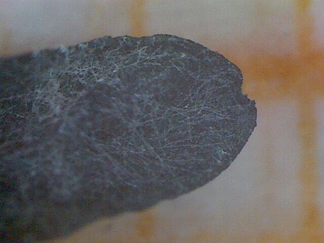 File:Allium sphaerocephalum seme 1.jpg