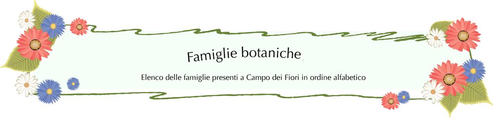 Famiglie botaniche pr.jpg